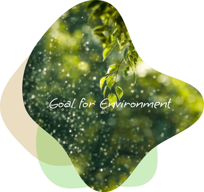 Goal for Environment